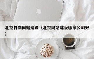 天津北京自制网站建设（北京网站建设哪家公司好）