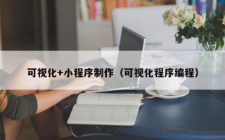 天津可视化+小程序制作（可视化程序编程）